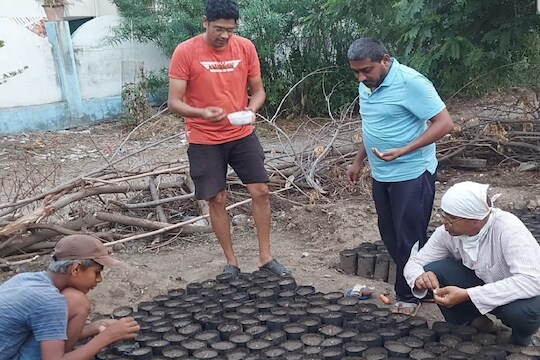 अनोखी अंकुर बँक... नष्ट होत असलेल्या जंगली झाडांना नवसंजीवनी देण्याचा शिक्षकांचा प्रयत्न