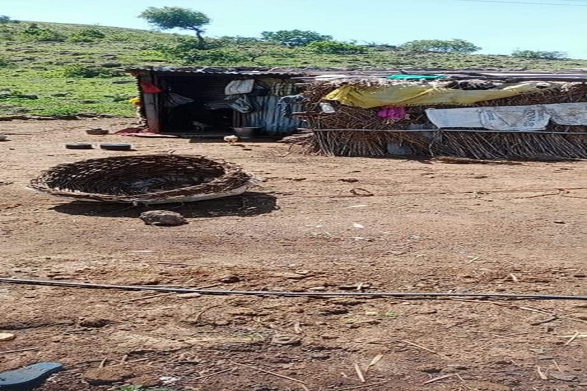 ग्रामीण भागात बकरी चोरांची दहशत; बाप-लेकीचे हातपाय बांधून 25 शेळ्या पळवल्या