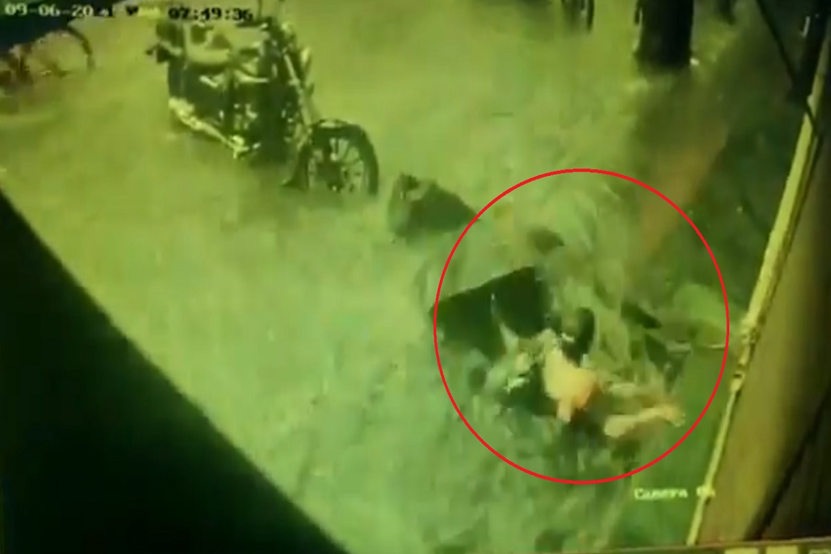 BMC कुंभकर्णाच्या झोपेतून कधी जागी होणार? भाजपचा सवाल