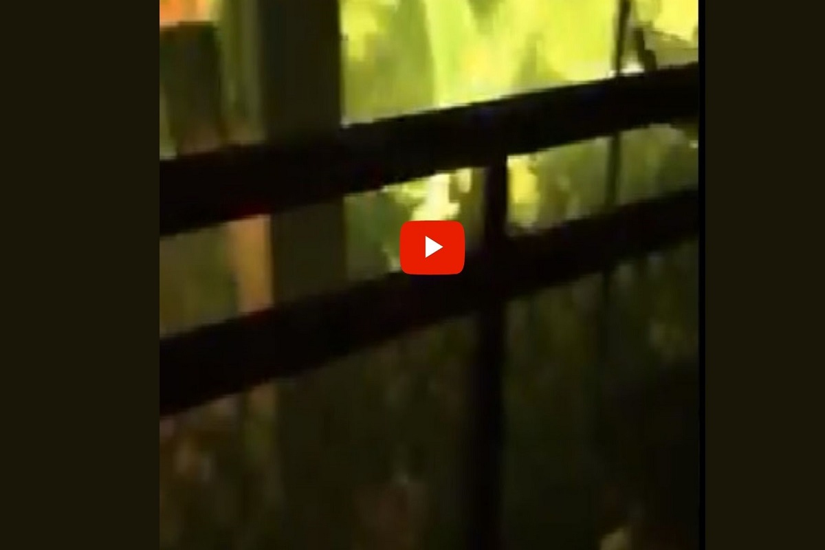 ठाण्यात MH04 लाऊंन्जमध्ये कोरोना नियमांचं उल्लंघन, पोलिसांकडून गुन्हा दाखल