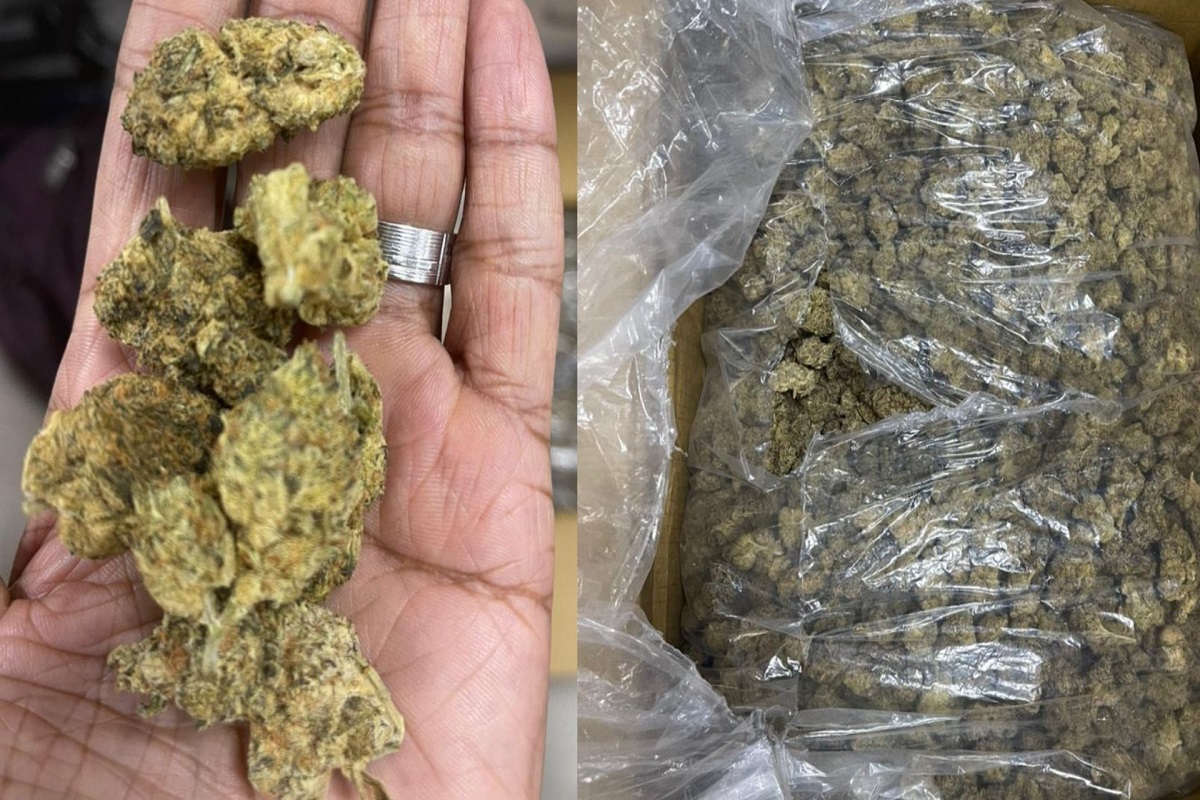 मुंबईत NCBची मोठी कारवाई, दीड कोटी रुपयांचे ड्रग्ज जप्त