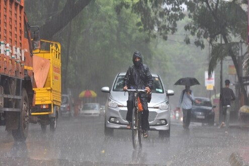 Monsoon Update: राज्यात मान्सूनचं कमबॅक; पुढील 5 दिवस पुण्यासह अनेक जिल्ह्यात चांगला पाऊस