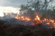 VIDEO: रत्नागिरीत मोठा वणवा, 450 एकर जागेवरील झाडे जळून खाक