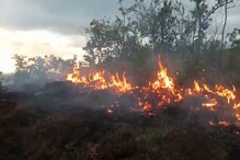 VIDEO: रत्नागिरीत मोठा वणवा, 450 एकर जागेवरील झाडे जळून खाक VIDEO: रत्नागिरीत मोठा वणवा, 450 एकर जागेवरील झाडे जळून खाक