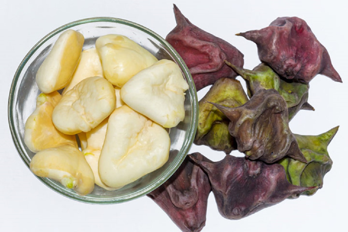 शरीरात रक्ताची कमतरता असेल तर, शिंगाडे खावेत शिंगाडे खाल्ल्यामुळे शरीराला ऊर्जा मिळते. उपवासाला देखील शिंगाडे किंवा शिंगाड्याचं पीठ खाल्लं जातं.