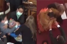 अरे बापरे! संसदेतच रंगला कुस्ती आखाडा, खासदारांच्या तुफान हाणामारीचा VIDEO VIRAL