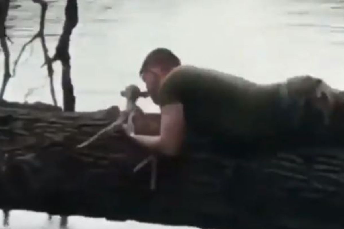 तलावात बुडणाऱ्या हरणाच्या पाडसाला जवानानं वाचवलं, पाण्यातून बाहेर काढतानाचा VIDEO VIRAL