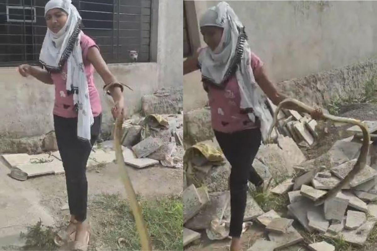 VIDEO: बापरे! तरुणीनं एका हातानं पकडला विषारी साप, धाडसाचं होतंय कौतुक