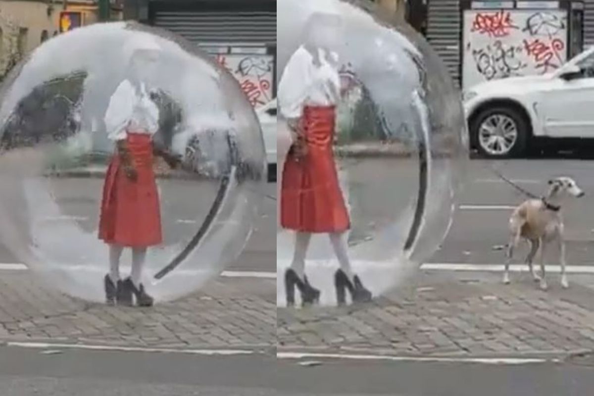 अरे! ही तरुणी फुग्यात कशी शिरली? हा VIDEO पाहून तुम्ही देखील पडाल बुचकळ्यात