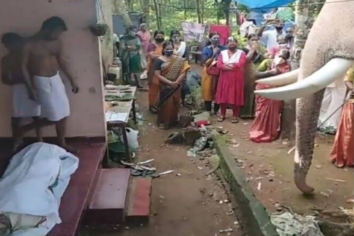 माहूतचा मृत्यू झाल्यानंतर हत्तीलाही कोसळलं रडू; अंत्यदर्शनाचा भावनिक VIDEO आला समोर