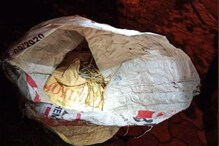 कोलकात्यातील भाजप कार्यालयाजवळ आढळले 51 क्रूड बॉम्ब, परिसरात खळबळ कोलकात्यातील भाजप कार्यालयाजवळ आढळले 51 क्रूड बॉम्ब, परिसरात खळबळ
