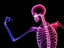 Strong Bones: मजबूत हाडांसाठी आपल्या आहारात करा या 5 गोष्टींचा समावेश
