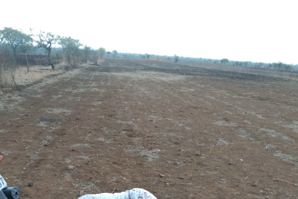 रक्ताचे नाते जिवावर उठले, कुऱ्हाडीने वार करून पुतण्याने काकाला संपवले