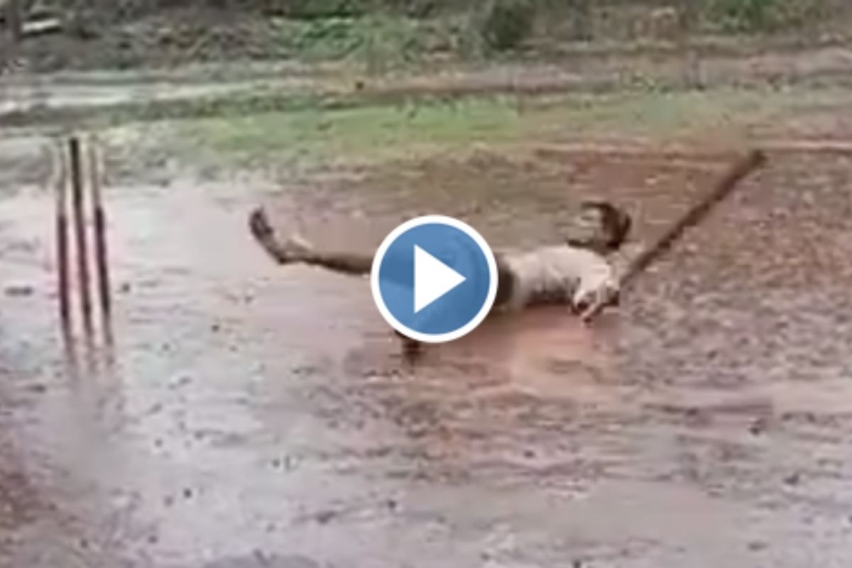 पावसात हेलिकॉप्टर शॉट मारताना खेळाडूचं थेट जमिनीवर लँडिंग, VIDEO पाहून हसू आवरणार नाही