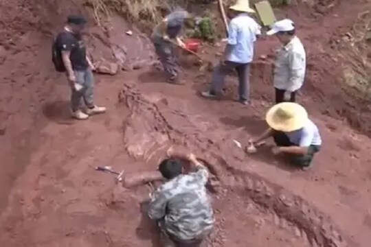 चीन पुन्हा एकदा चर्चेत, सापडलं 180 मिलियन वर्षांपूर्वीचं डायनासॉरच अवशेष