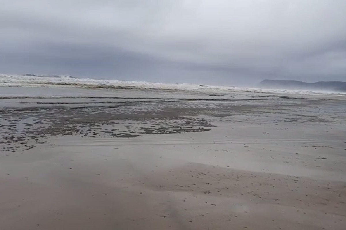 गुहागरमध्ये किनारपट्टीवर तेलाचा तवंग, समुद्राच्या पाण्याचा रंग बदलल्यानं परिसरात खळबळ