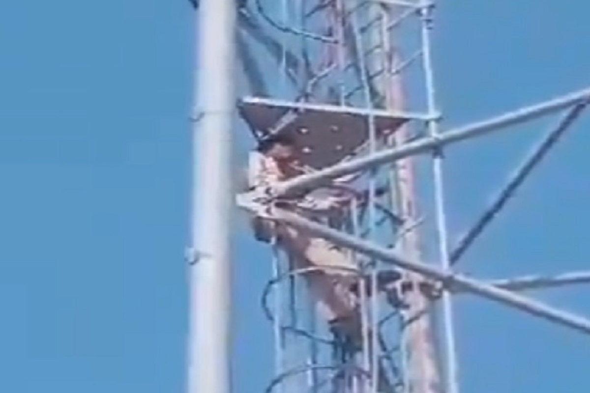 बायकोसाठी हायवोल्टेज ड्रामा; मोबाईल टॉवरवर चढला नवरा, ती खाली दिसताच...; VIDEO मध्ये पाहा काय घडलं