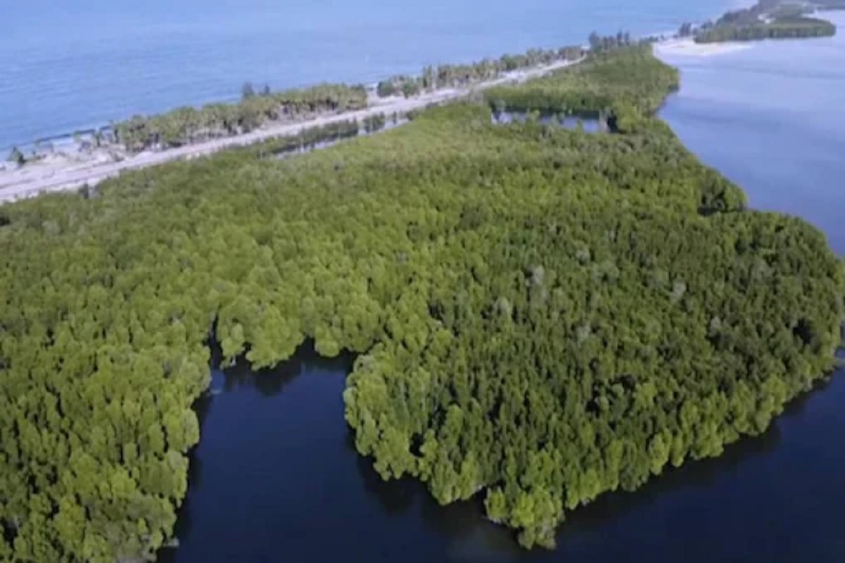 या 'पवित्र' जंगलात कपडे न घालताच वावरतात स्त्रिया; पुरुषांना आहे सक्त प्रवेशबंदी