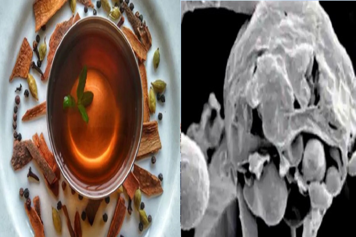 फक्त स्टेरॉइड्स नाही तर काढ्यामुळेही फंगल इन्फेक्शनचा धोका; डॉक्टरांनी केलं सावध