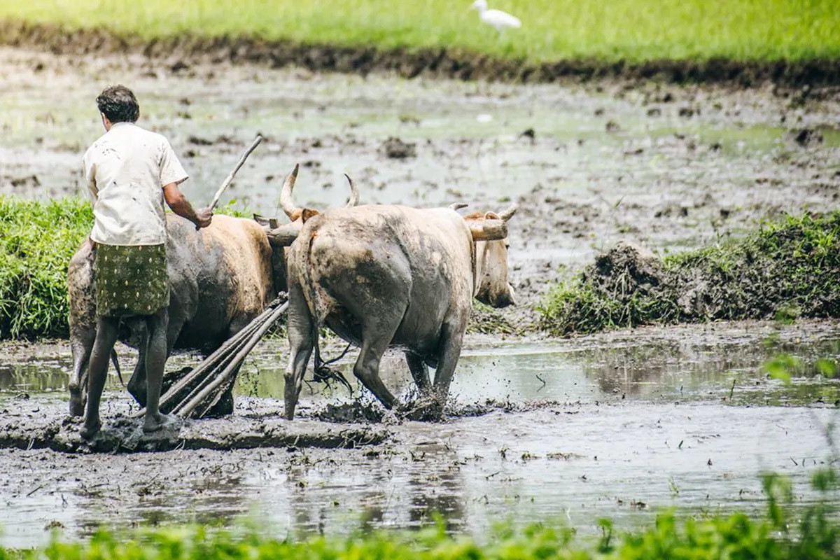 शेतकऱ्यांसाठी Good News! या तारखेपर्यंत मिळणार PM Kisan चा 10वा हप्ता, खात्यात येणार 2000 रुपये