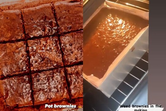 Weed Brownies ची इन्स्टाग्रामवर Ad; मुंबईत NCB ने भांडाफोड केलेल्या ड्रग्ज रॅकेटमध्ये 20 वर्षांची मास्टरमाइंड
