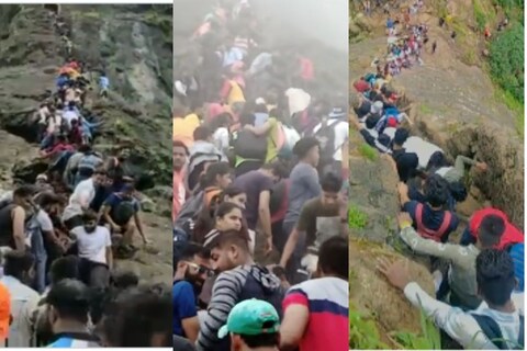 नाशिकमध्ये कोरोनाने कहर केला होता, यामध्ये अनेकांना जीव गमवावा लागला. मात्र असे असतानाही नाशिकमध्ये पर्यटकांनी प्रचंड मोठी गर्दी केली होती. 