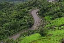 PHOTOS : डोळ्याचं पारणं फेडणारी कुंभार्ली घाटातील निसर्गाची विलोभनीय दृश्यं पाहा