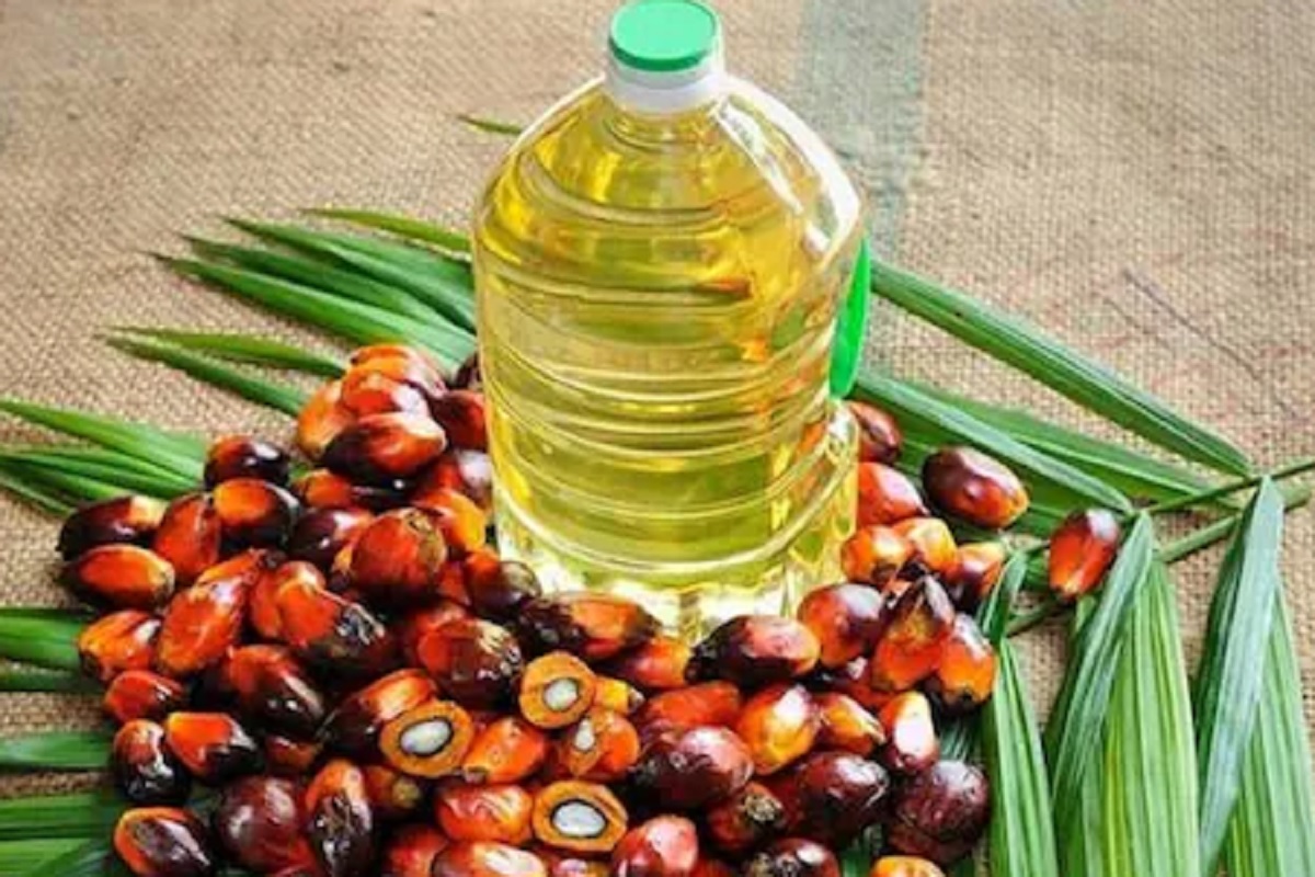 दोन दिवसानंतर 50 रुपये लीटरपर्यंत स्वस्त होऊ शकतं खाद्य तेल; हे आहे कारण