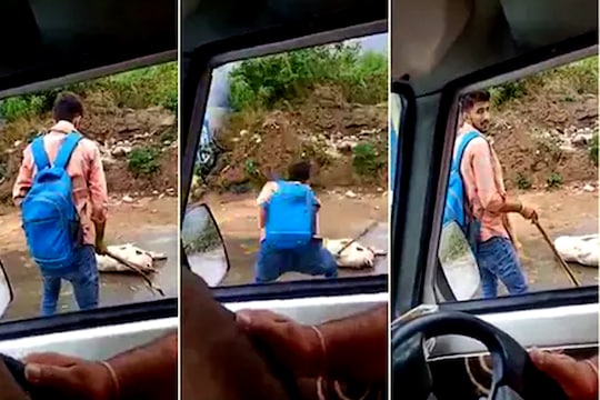 भूतदयेचा अंत! पोस्टमननं कुत्र्याला बेदम मारलं, बेशुद्ध झाल्यानंतरही मारत राहिला, FIR दाखल