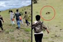 सांगली : डोंगरावर दिसलेल्या बिबट्याचा हुल्लडबाजांनी केला पाठलाग, Video Viral सांगली : डोंगरावर दिसलेल्या बिबट्याचा हुल्लडबाजांनी केला पाठलाग, Video Viral