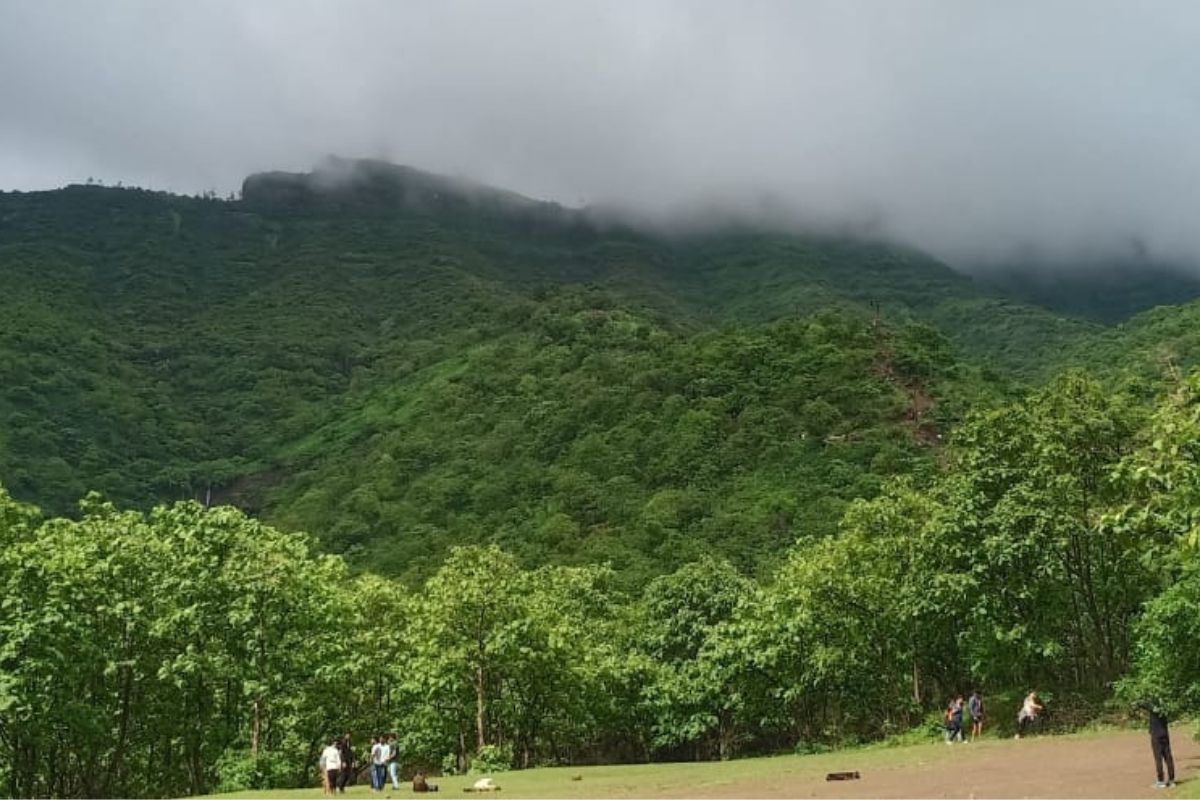 सिंहगडावर जाण्याचा प्लॅन करताय? मग हे वाचाच; अन्यथा भरावा लागेल आर्थिक भुर्दंड