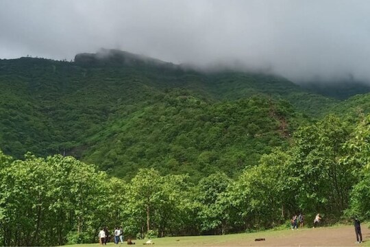 सिंहगडावर जाण्याचा प्लॅन करताय? मग हे वाचाच; अन्यथा भरावा लागेल आर्थिक भुर्दंड