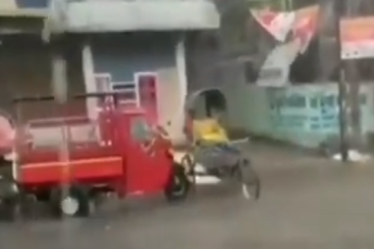 चालकाशिवाय रिव्हर्स घेत योग्य ठिकाणी पार्क झाली रिक्षा; VIDEO पाहून Tesla च्या कारलाही विसराल