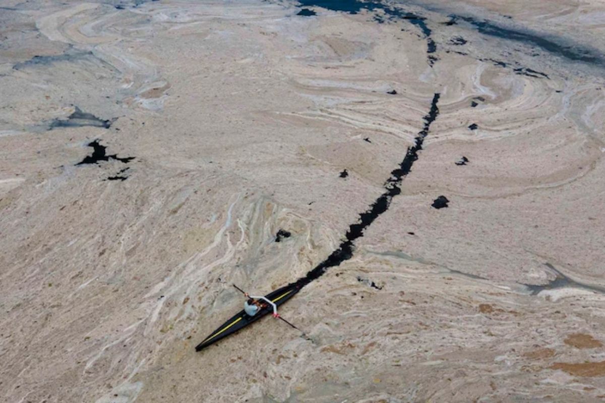 सी-स्नॉटमध्ये तुर्कीतील सागरी जीवन धोक्यात; अर्थिक घडामोडींवरही परिणाम, नेमकं काय आहे कारण