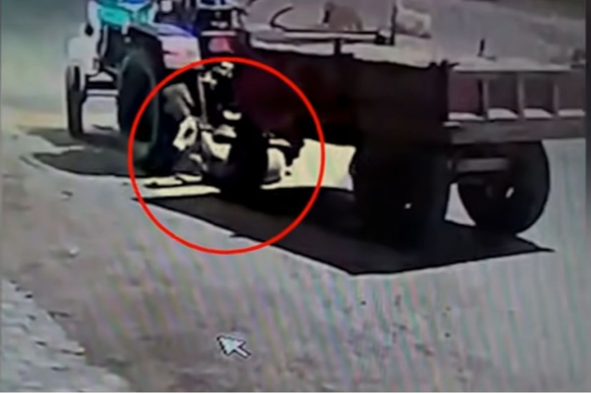 भीषण! रस्त्यावर बसलेल्या गर्भवती गायीवर चढवला ट्रॅक्टर; धक्कादायक VIDEO पाहून हादराल!