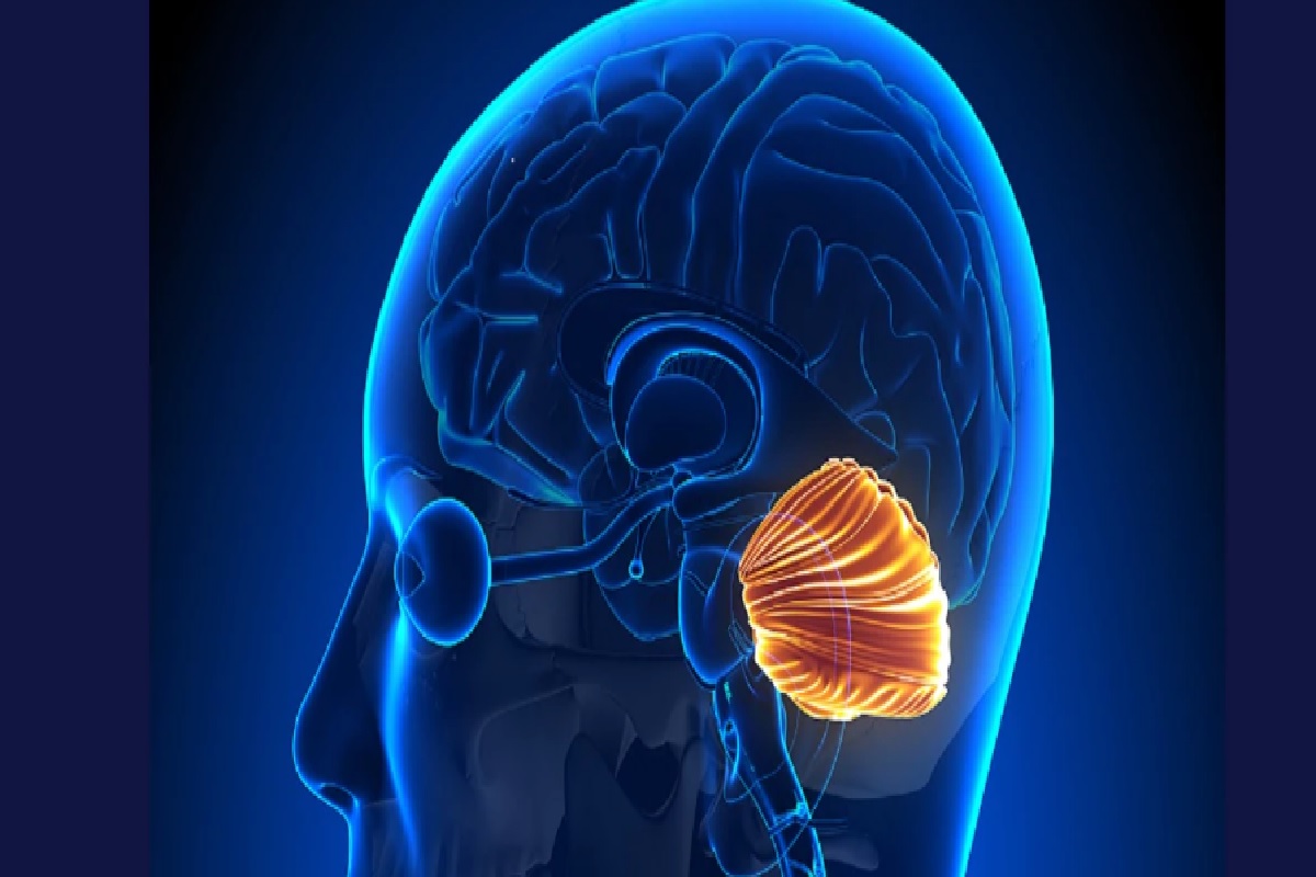 कोरोना करतोय मेंदूवर परिणाम, डोकेदुखीकडे करू नका दुर्लक्ष
