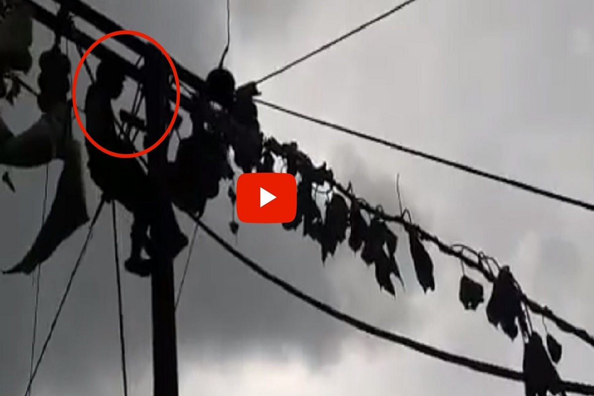 महाभयंकर पुरातून कोकण सावरतंय; खेडमधील अंगावर शहारे आणणारा व्हिडिओ, पुराच्या पाण्यात तुटलेल्या तारांचं केलं काम Watch Video