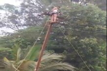 महावितरणच्या जिगरबाज कर्मचाऱ्याची शौर्यगाथा, पाहा Video महावितरणच्या जिगरबाज कर्मचाऱ्याची शौर्यगाथा, पाहा Video