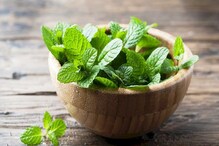पुदीन्यामुळे पचनशक्ती सुधारण्याबरोबर झटपट weight loss; जाणून घ्या खाण्याची पद्धत पुदीन्यामुळे पचनशक्ती सुधारण्याबरोबर झटपट weight loss; जाणून घ्या खाण्याची पद्धत