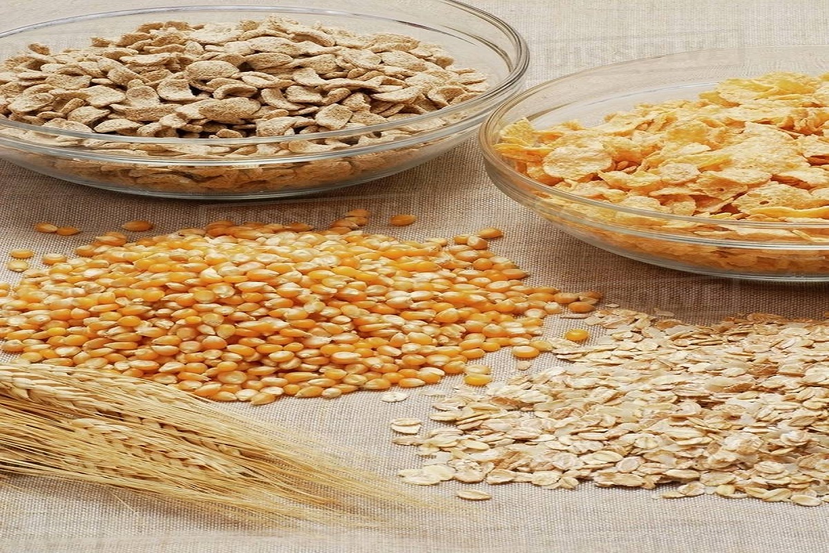 ओट्समध्ये मोठ्या प्रमाणात फायबर असतं.