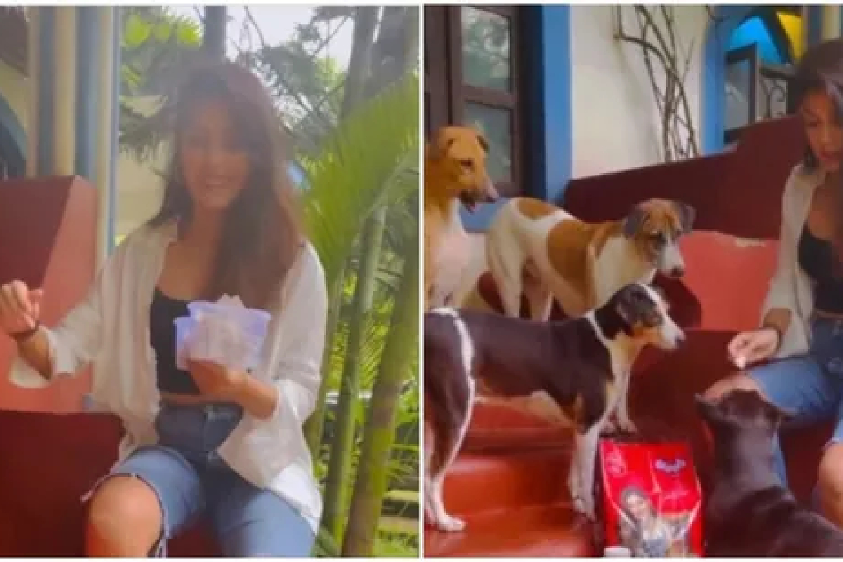 ‘तुझे चित्रपट कोणी पाहणार नाही’; नव्या Videoमुळे रिया चक्रवर्ती ट्रोल