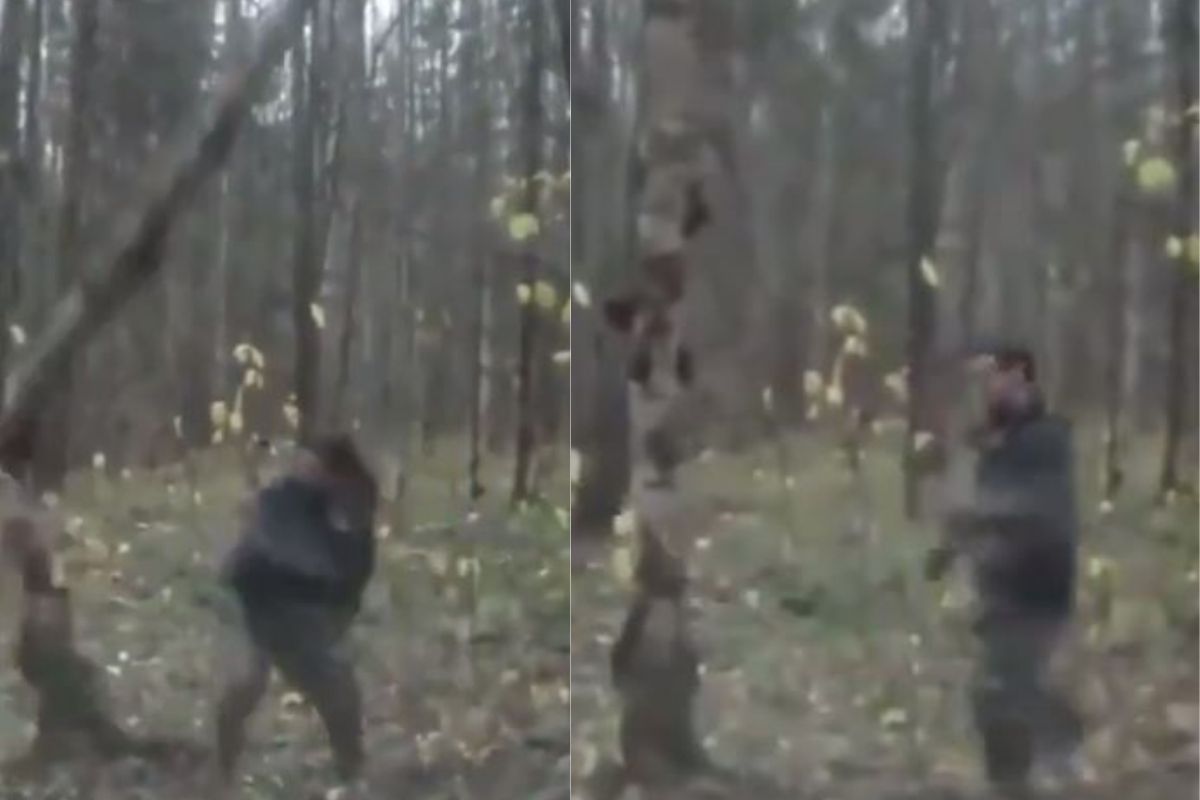 VIDEO: 'कर्माचं फळ मिळालं'; लाथ मारणाऱ्या युवकाला झाडानंच दिलं जोरदार प्रत्युत्तर