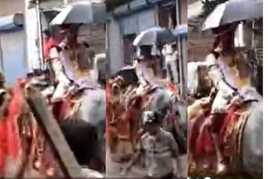 “उतावळा नवरा, गुडघ्याला बाशिंग”; लग्नातला हा VIDEO पाहून तुम्हीही म्हणाल 'इतकी कसली घाई'?