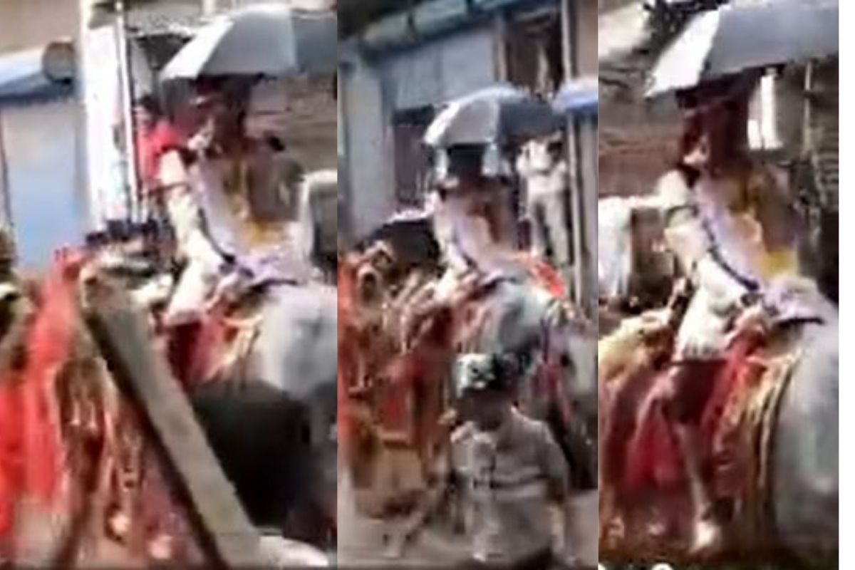 “उतावळा नवरा, गुडघ्याला बाशिंग”; लग्नातला हा VIDEO पाहून तुम्हीही म्हणाल 'इतकी कसली घाई'?