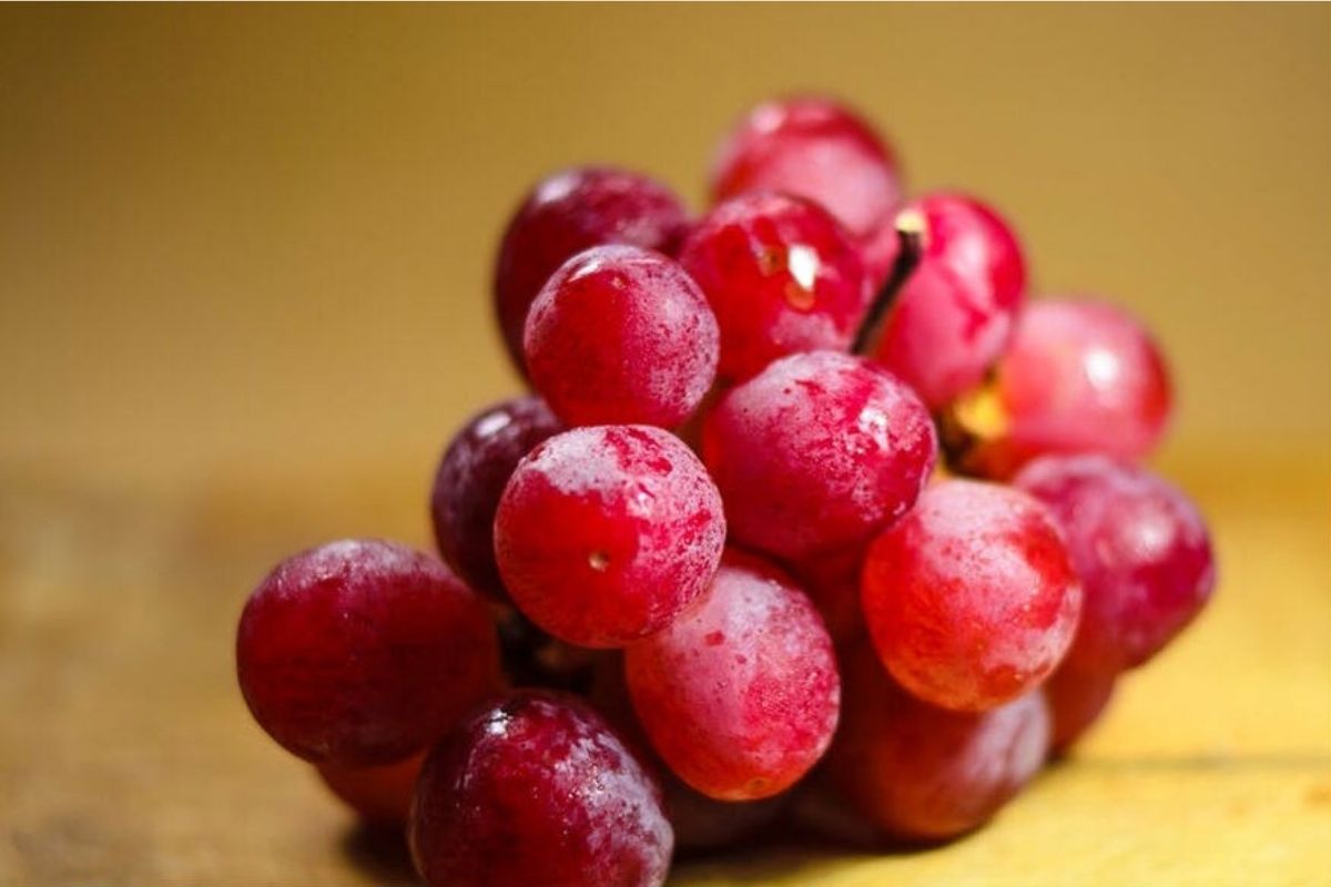 लाखो मोजायला तयार असाल तरच हे द्राक्षे विकत घेण्याचा करा विचार; किंमत ऐकून व्हाल थक्क, वाचा खासियत