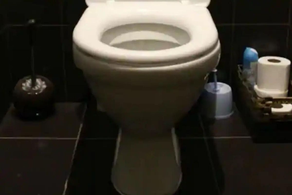 कायच्या काय! या टॉयलेटमध्ये जाणाऱ्यांना दिले जातात पैसे; उद्देश ऐकून लावाल डोक्याला हात