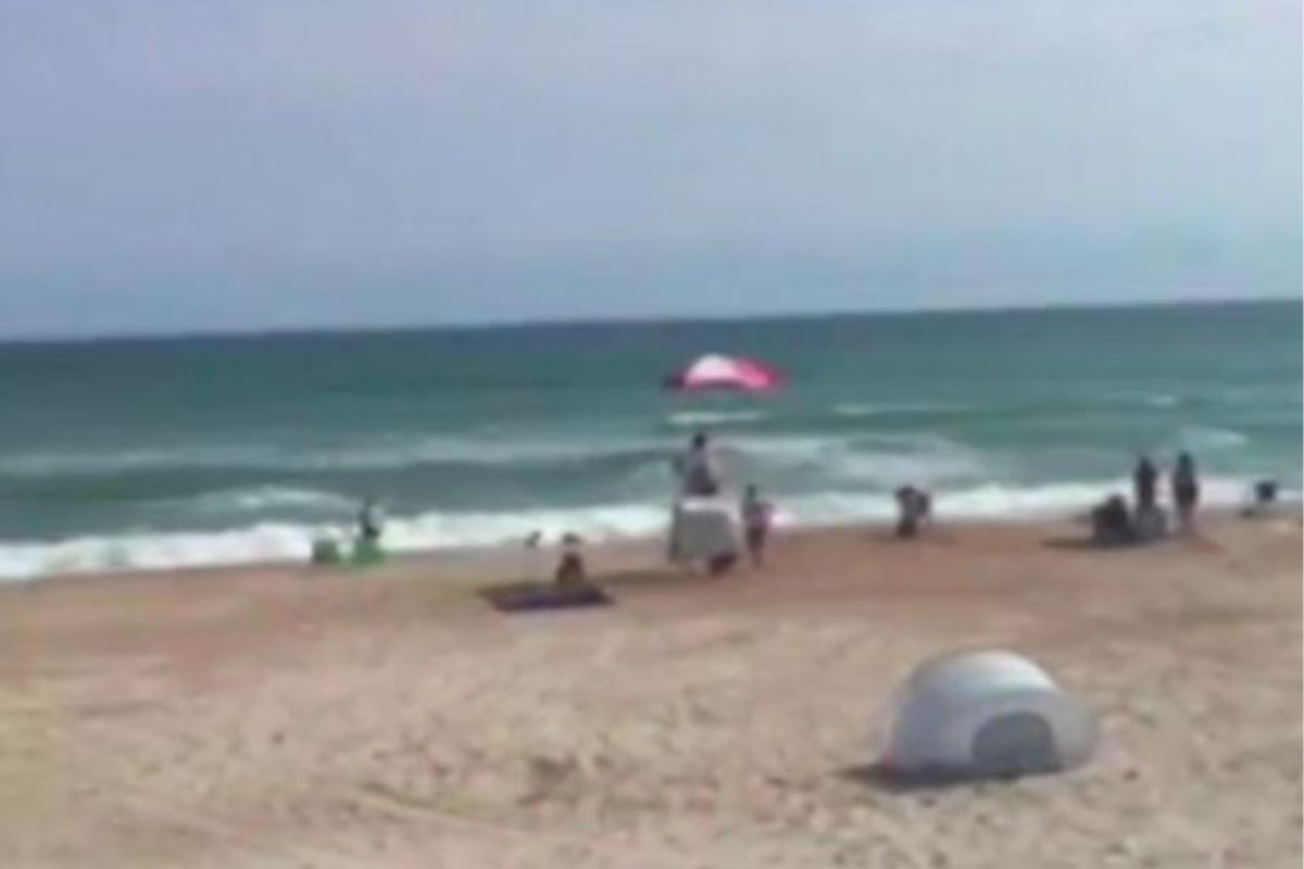 मुलीवर शार्कनं हल्ला करताच वडील बनले ढाल; समुद्रात उडी घेतली अन्...