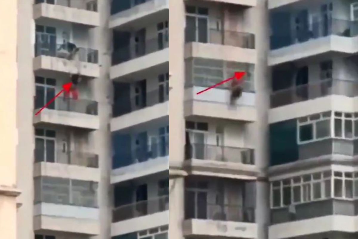 भयंकर! पतीकडून हात सुटला अन् 9 व्या मजल्याहून कोसळली महिला; घटनेचा LIVE VIDEO