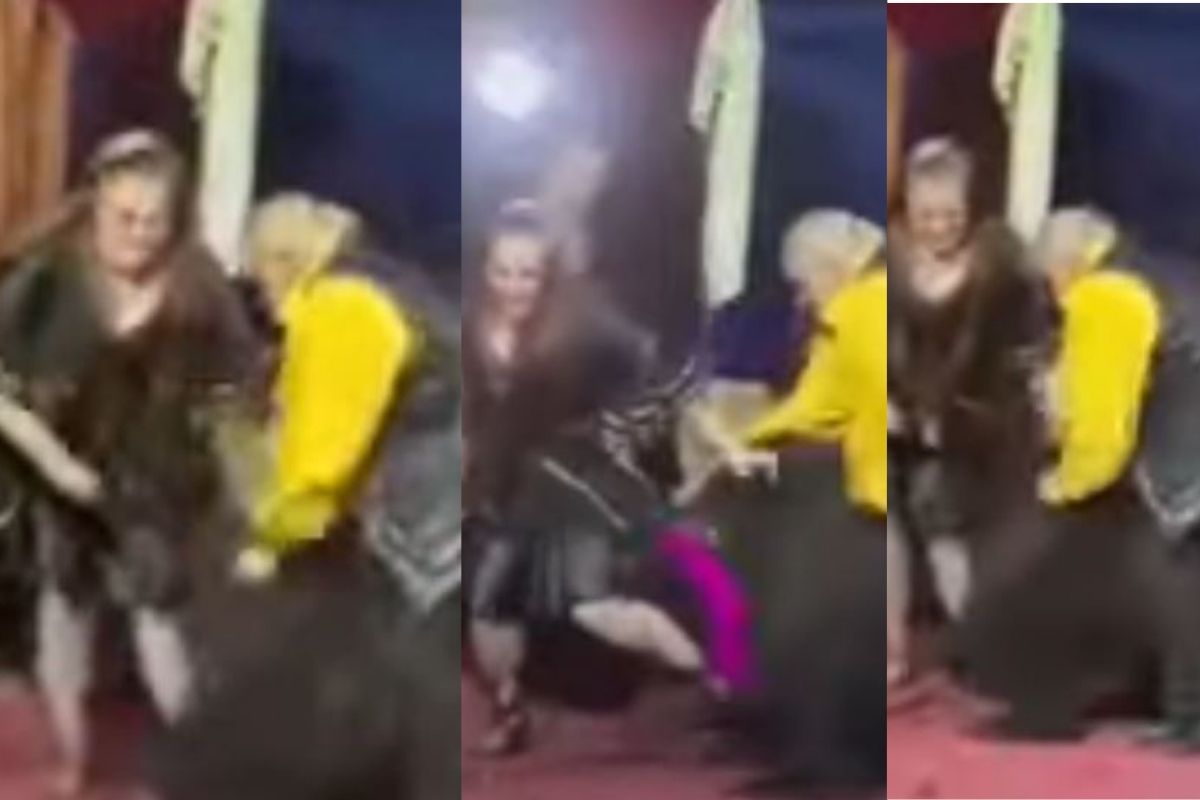 VIDEO: एक-दोन नव्हे तर तब्बल 3 वेळा अस्वलाचा महिलेवर हल्ला; पाहा कशी झाली अवस्था