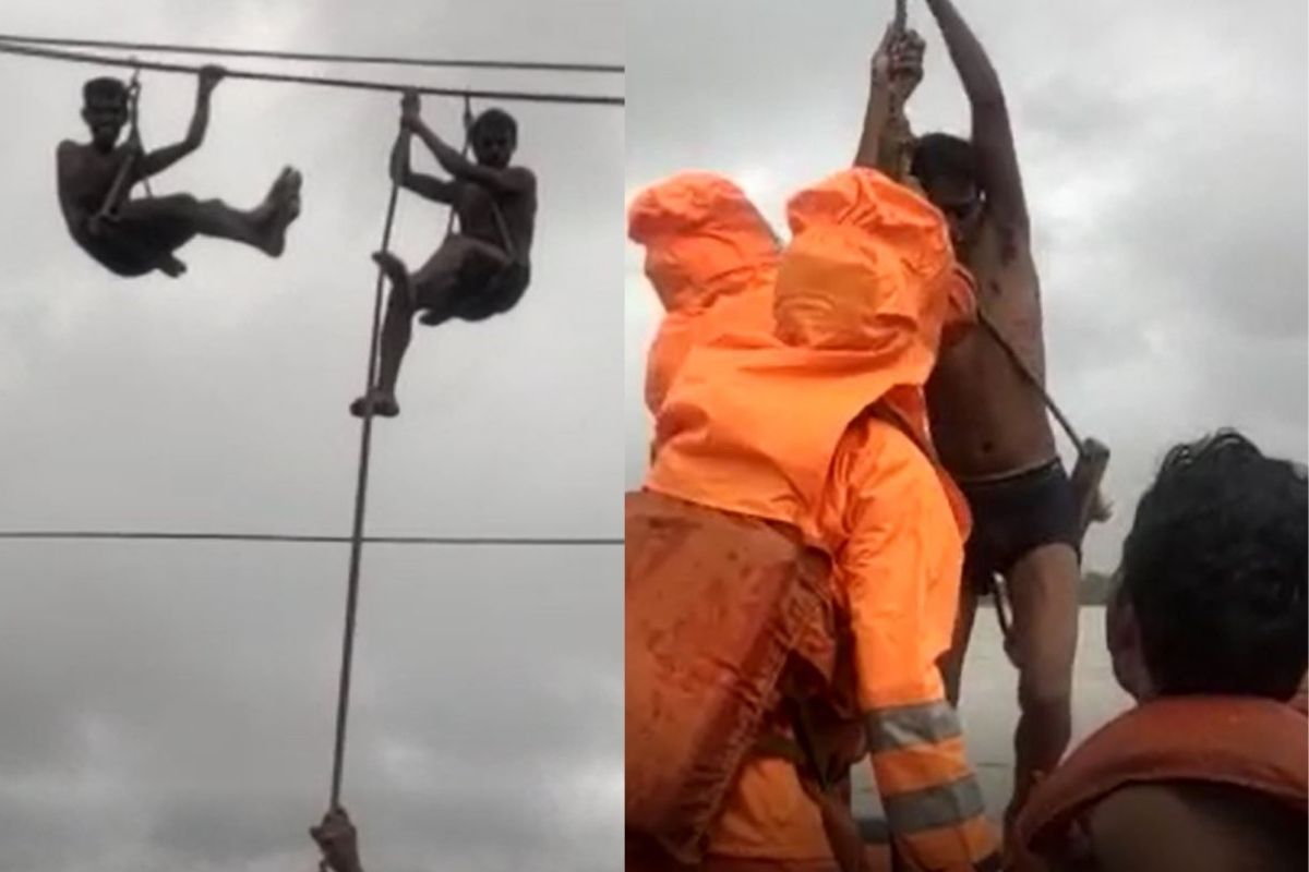 पुराच्या पाण्यात अडकलेल्या महावितरणाच्या कर्मचाऱ्यांना NDRF च्या पथकामुळे मिळालं जीवदान, पाहा VIDEO